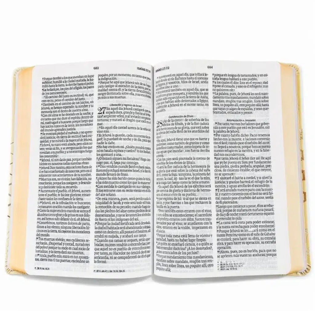 Biblia Reina Valera 1960 Letra Grande – Edición Premium Símil Piel Amarilla con Canto de Color | Última Disponible