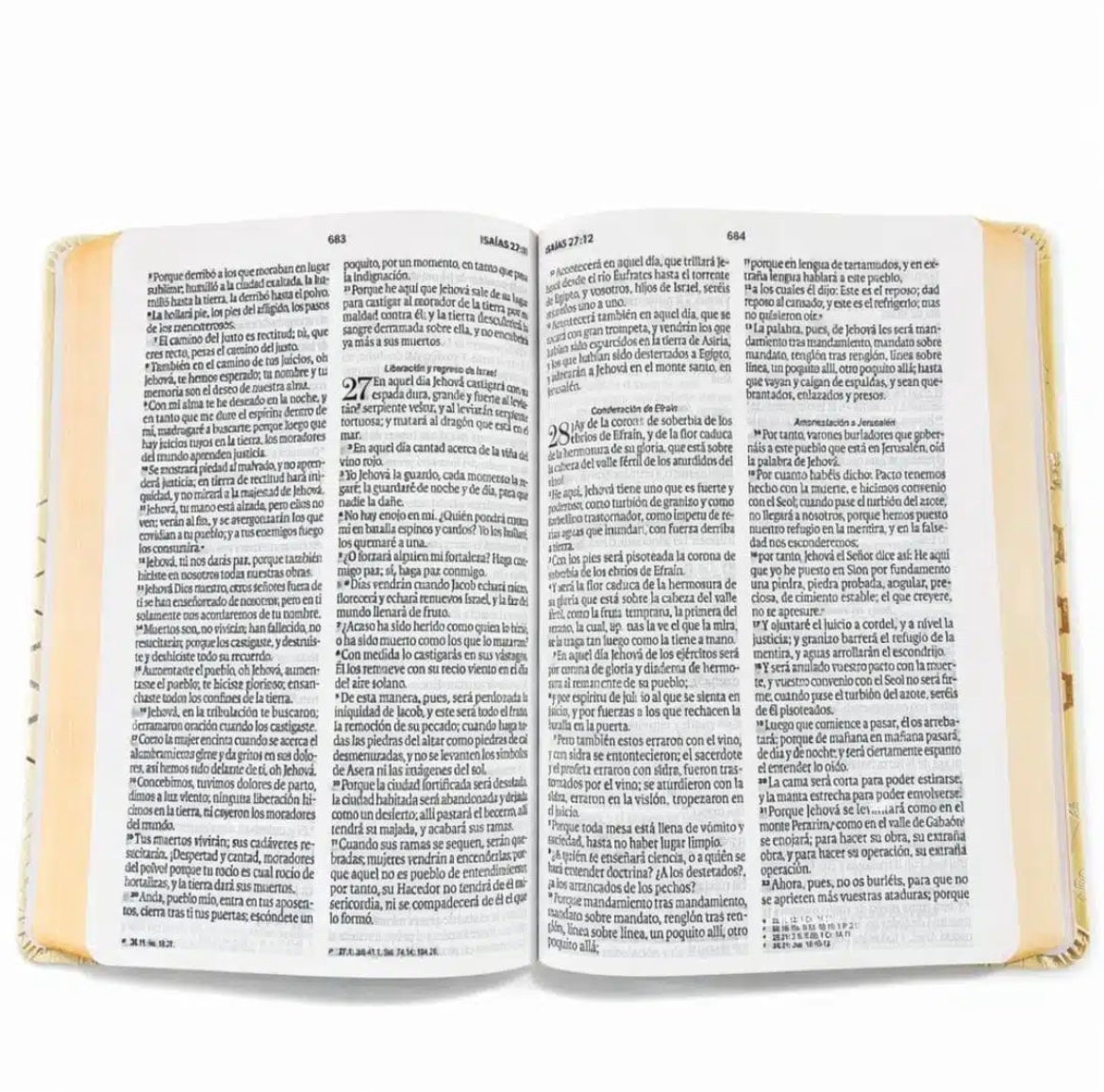 Biblia Reina Valera 1960 Letra Grande – Edición Premium Símil Piel Amarilla con Canto de Color | Última Disponible