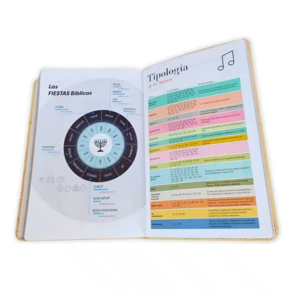 Biblia Reina Valera 1960 Letra Grande – Edición Premium Símil Piel Amarilla con Canto de Color | Última Disponible