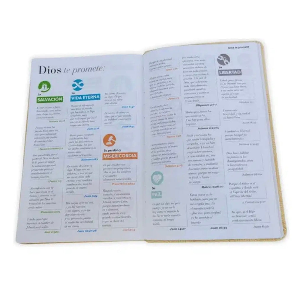 Biblia Reina Valera 1960 Letra Grande – Edición Premium Símil Piel Amarilla con Canto de Color | Última Disponible